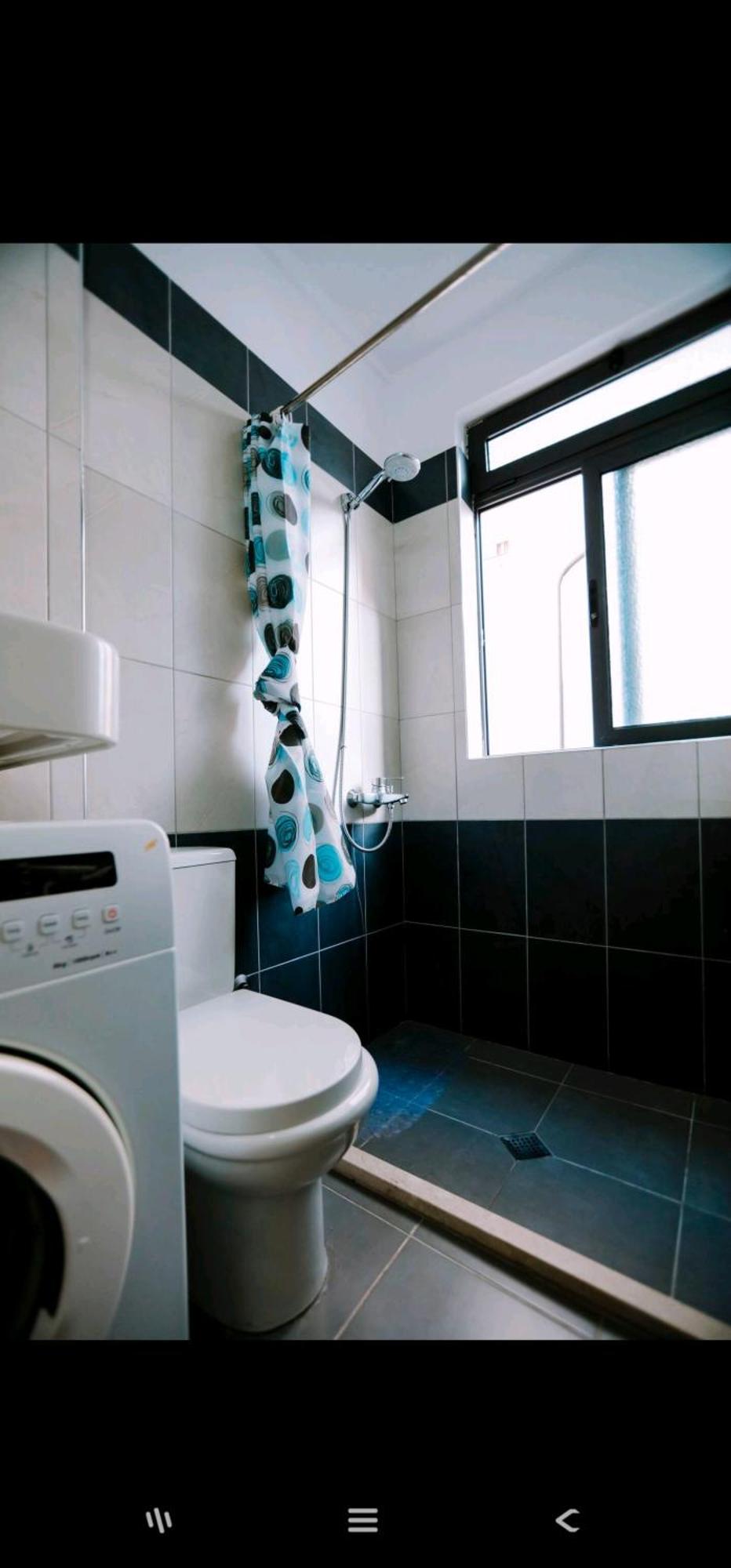 Sheshi Willson Great 1 Apartament