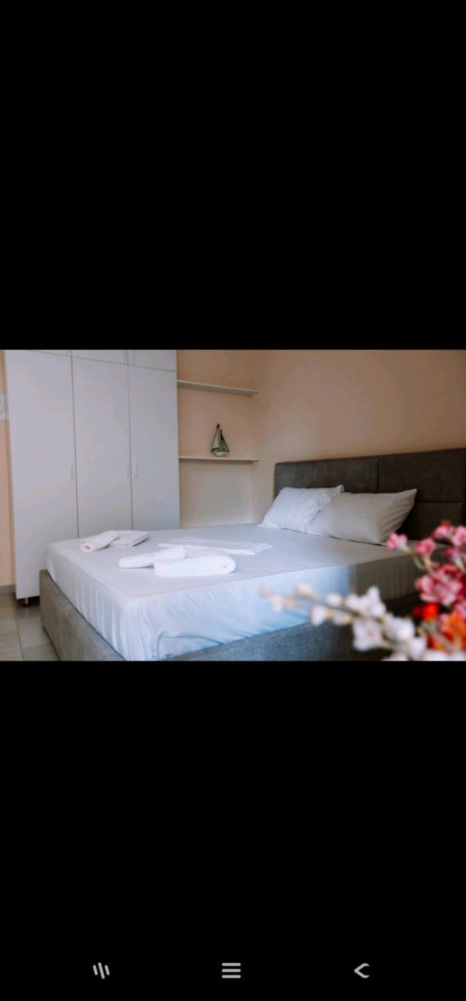 Sheshi Willson Great 1 Apartment Tirana